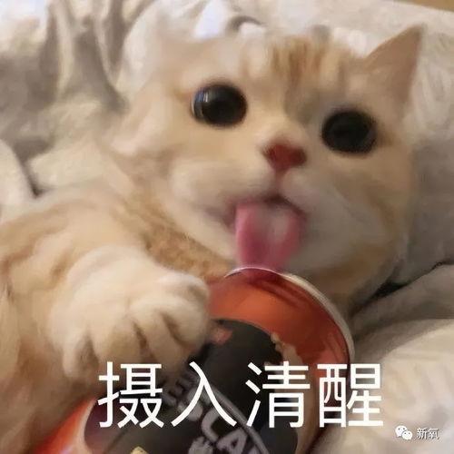娱乐吃瓜酱不开心