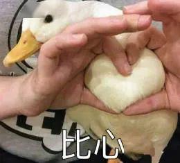 娱乐吃瓜酱鸭鸭视频